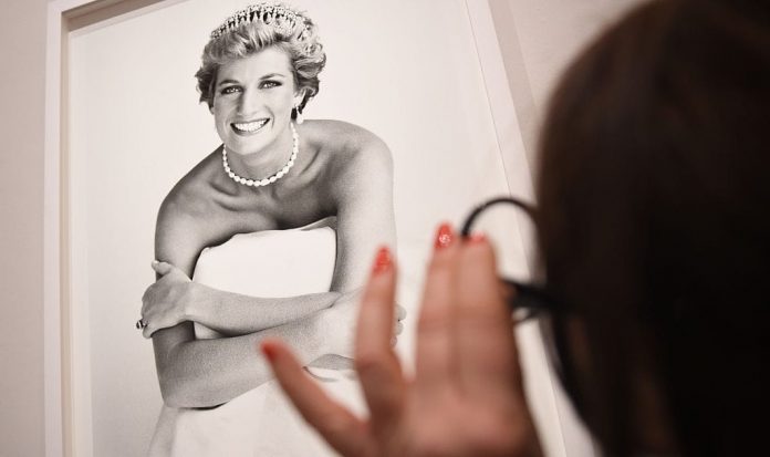 Lady Diana Portrait