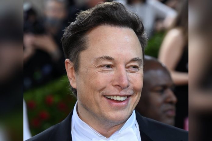 Tesla-Boss Elon Musk legt Twitter-Kauf auf Eis Kauft Elon Musk Twitter vielleicht doch nicht? / Source: imago/PA Images