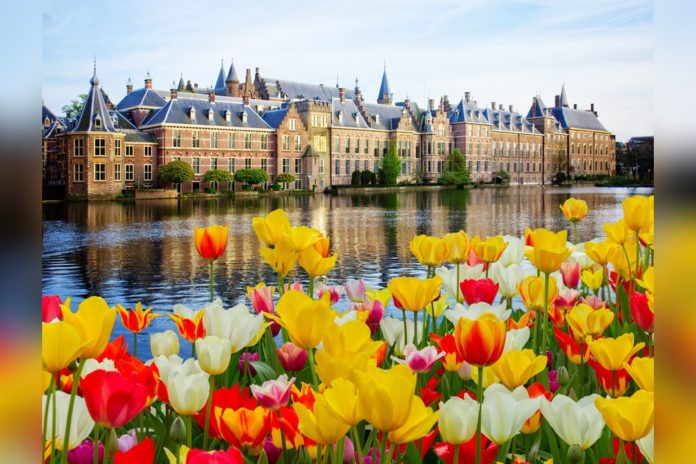 Der Binnenhof ist ein beliebtes Ziel in Den Haag. / Source: 2016 Neirfy/Shutterstock.com