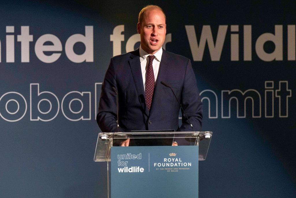 Prinz William hielt eine Rede beim United for Wildlife Global Summit in London. / Source: imago images/i Images