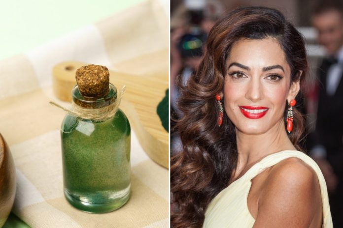 Amal Clooney schwört darauf: So gesund ist Algenöl Amal Clooney ist dem Algen-Hype regelrecht verfallen. / Source: taniavolobueva/Shutterstock.com / darksoul72/Shutterstock.com