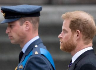 Würde Prinz William Rückkehr von Prinz Harry verhindern?