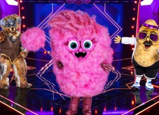 “The Masked Singer”: Auch Zuckerwatte und Robodog mischen mit