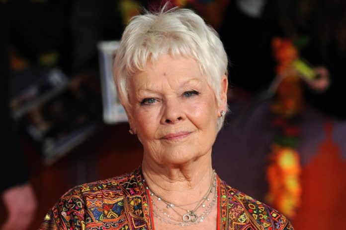 Judi Dench denkt über ihr Karriere-Ende nach. / Source: KGC-03/starmaxinc.com/ImageCollect