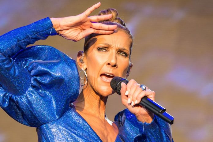 Céline Dion soll trotz ihrer schweren Erkrankung hart dafür arbeiten, noch einmal auf der Bühne stehen zu können. / Source: Tom Rose/Shutterstock.com