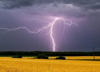 Wenn es blitzt und donnert: So verhält man sich richtig bei Gewitter Blitzeinschläge können tödlich sein. / Source: Nikolay Zaborskikh/Shutterstock.com