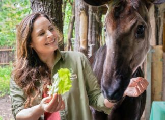 “Tierärztin Dr. Mertens”: Drehstart und neuer Tierarzt in Staffel neun Elisabeth Lanz wird in 13 neuen Episoden von "Tierärztin Dr. Mertens" zu sehen sein. / Source: ARD/Steffen Junghans