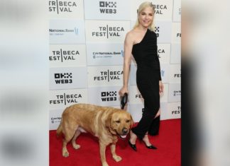Selma Blair posiert mit ihrem Assistenzhund auf dem roten Teppich Selma Blair kam mit Scout zum Tribeca Film Festival. / Source: Dia Dipasupil/Getty Images