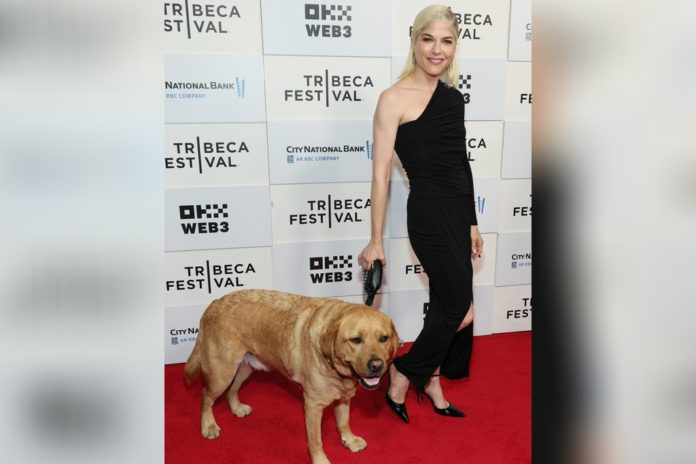Selma Blair kam mit Scout zum Tribeca Film Festival. / Source: Dia Dipasupil/Getty Images