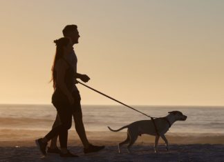 Fünf gute Gründe, nach dem Abendessen spazieren zu gehen Ein Spaziergang nach dem Abendessen kann Wunder wirken. / Source: PeopleImages.com - Yuri A/Shutterstock.com