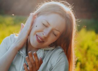 Mückenplage droht: So schützt man sich vor den Insekten Im Sommer 2024 droht nach starken Regenfällen eine Mückenplage. / Source: chaossart/Shutterstock.com